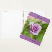 planner (Display)