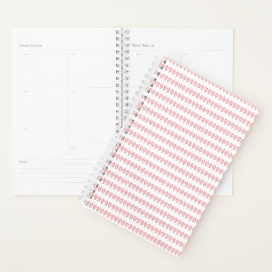Planner (Display)