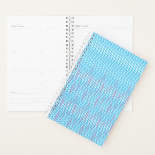 Planner (Display)