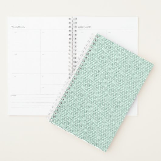 Planner (Display)