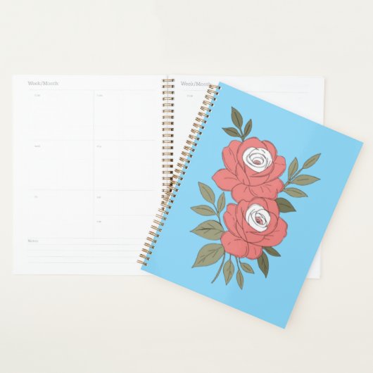 Planner (Display)