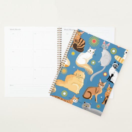 Planner (Display)
