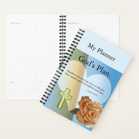 Planner (Display)