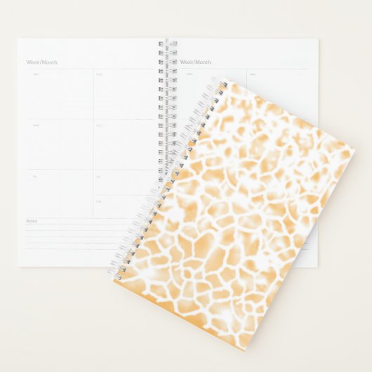 Planner (Display)