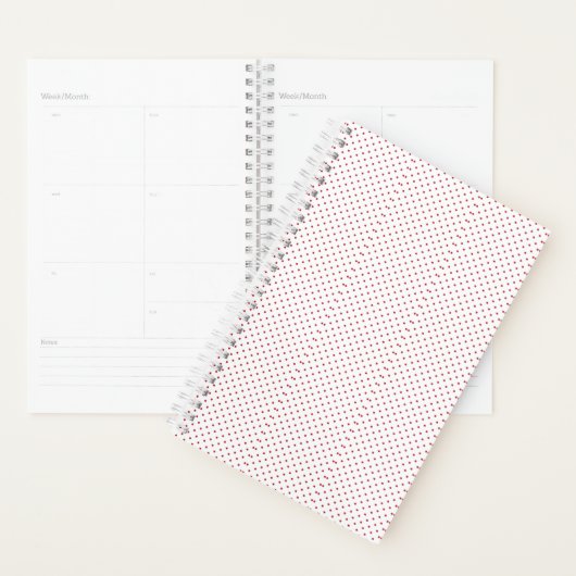 Planner (Display)