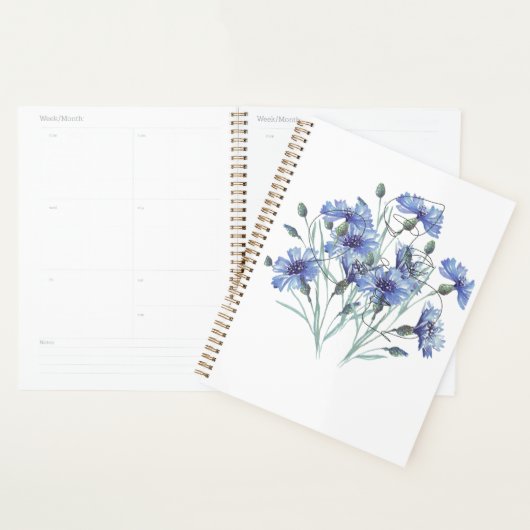 Planner (Display)
