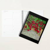 Planner (Display)