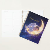 Planner (Display)