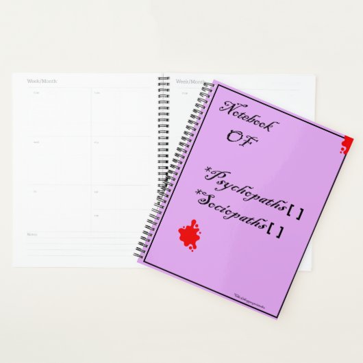 Planner (Display)