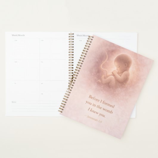Planner (Display)