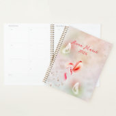 Planner (Display)