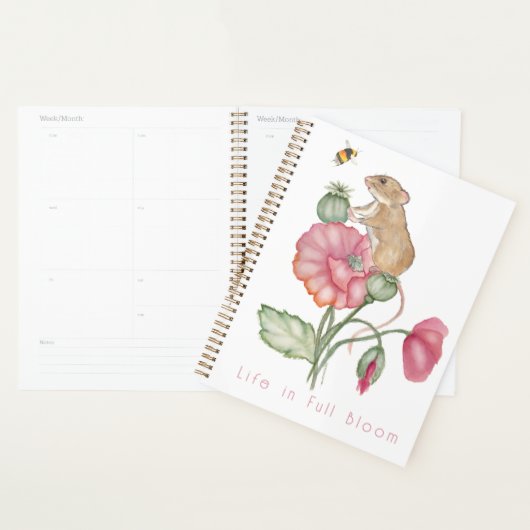 Planner (Display)