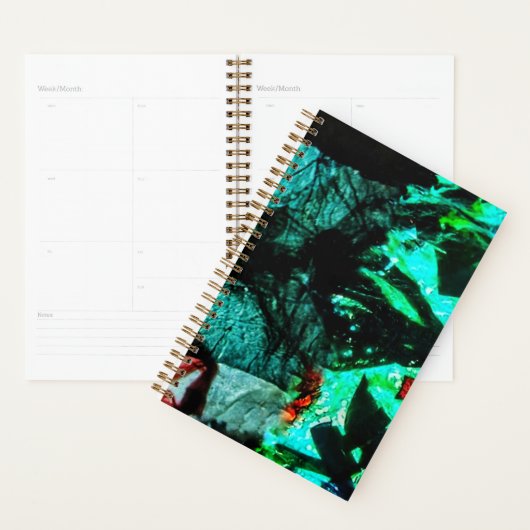 Planner double blue abstract spirit planner  (Display)
