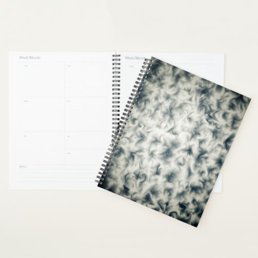 Planner Event Daily (Display)