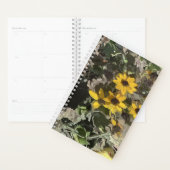Planner gele woestijnventilator (Display)
