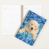 Planner - Golden Retriever Puppy (Display)