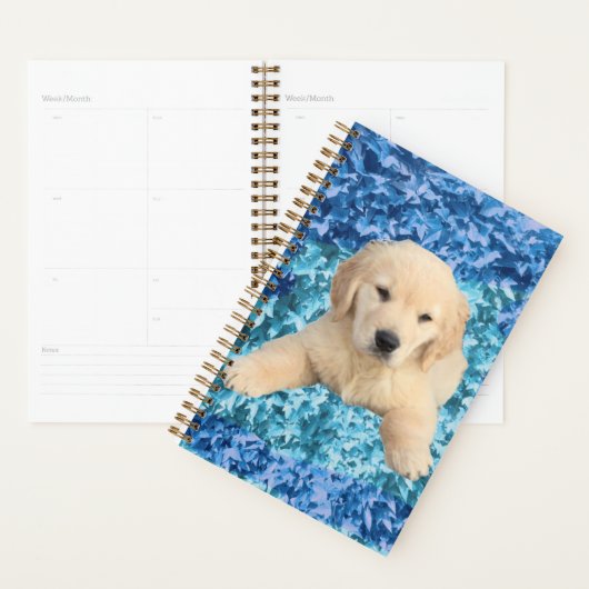 Planner - Golden Retriever Puppy (Display)