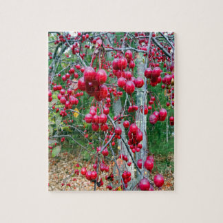 Planner Herfst Boom Rode Bessen Herfst Foto Legpuzzel