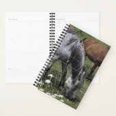 Planner Horse Photo Equine Grazing Horses