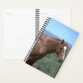 Planner Horse Photo Equine Pasture Scene (Display)