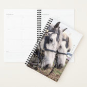 Planner Horse Photo Equine Percheron Tandem (Display)