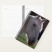Planner Horse Photo Equine White Horsehead (Display)