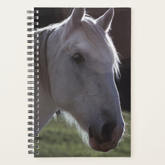 Planner Horse Photo Equine White Horsehead (Voorkant)
