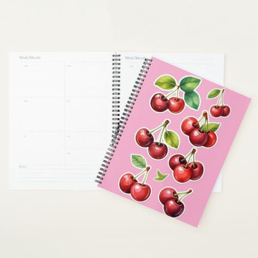 Planner Kers Aesthetisch (Display)