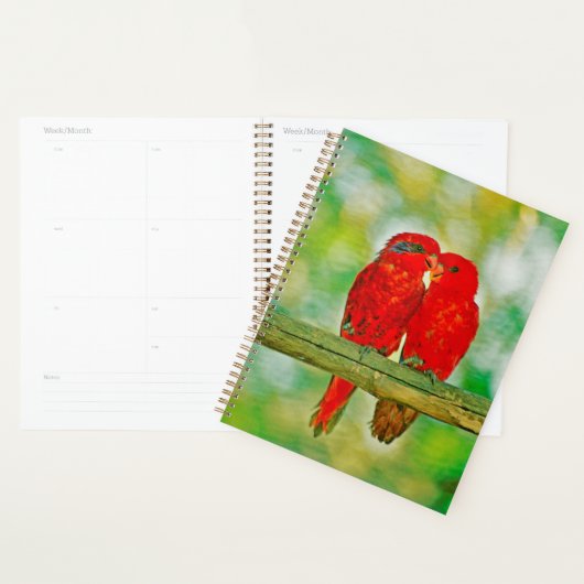 Planner liefdesvogels (Display)
