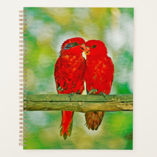 Planner liefdesvogels (Voorkant)