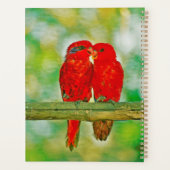 Planner liefdesvogels (Achterkant)