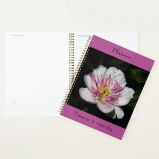 Planner met Vette Pioen
