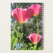 Planner Mt Tamalpais met roze bloemen (Achterkant)