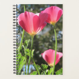 Planner Mt Tamalpais met roze bloemen