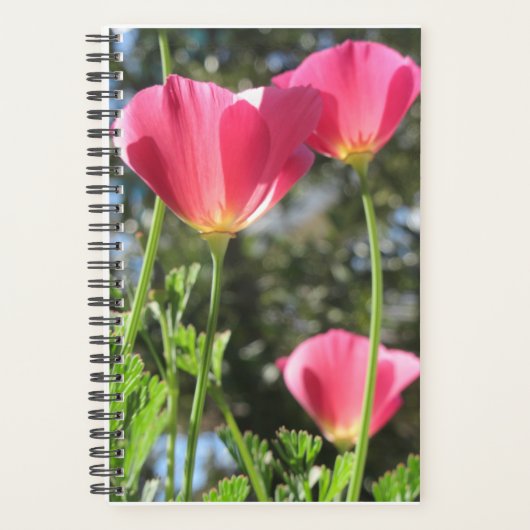 Planner Mt Tamalpais met roze bloemen (Voorkant)