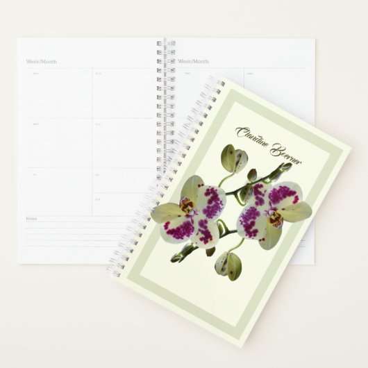 Planner Rich Bleek Yellow Orchids (Display)