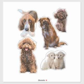 Planner Sticker Honden
