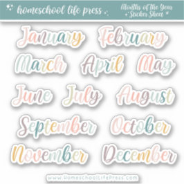 Planner Stickers Retro Rainbow Months of the Year