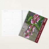 Planner - Tolumnia Jairak Regenboogorchidee (Display)