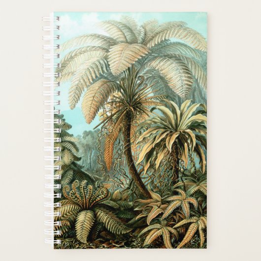 Planner van Ernst Haeckel (Voorkant)