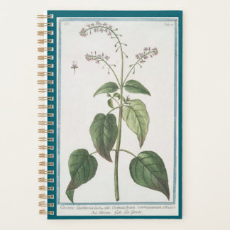 Planner voor Enchanter's Nightshade