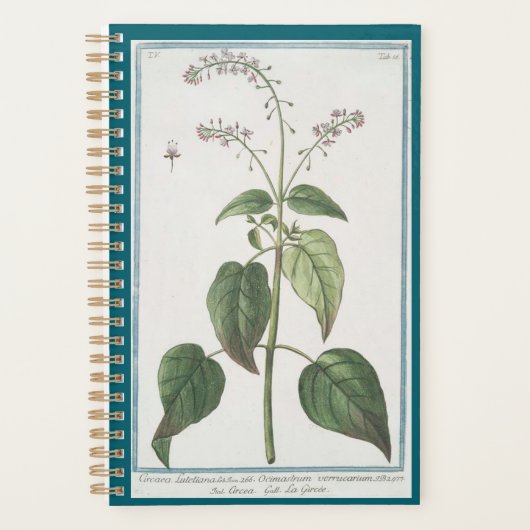 Planner voor Enchanter's Nightshade (Voorkant)
