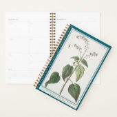 Planner voor Enchanter's Nightshade (Display)
