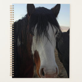 Planner voor haar in de ogen