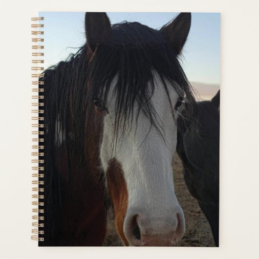 Planner voor haar in de ogen (Voorkant)