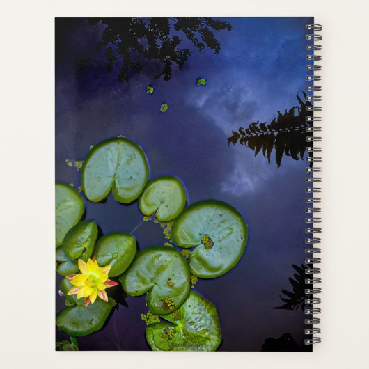 Planner voor Midnight Lily (Achterkant)