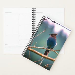Planner voor vogelaars