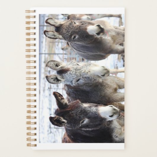 Planner wilde burros (Voorkant)