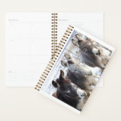 Planner wilde burros (Display)