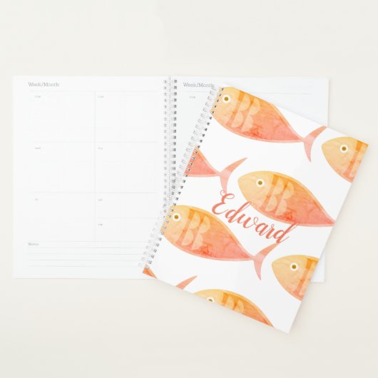 Planner zalm visgroep (Display)